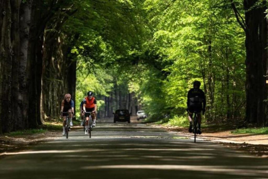 Chalet Voorzien Van Alle Gemakken In Een Bosrijke Omgeving Voorthuizen Buitenkant foto